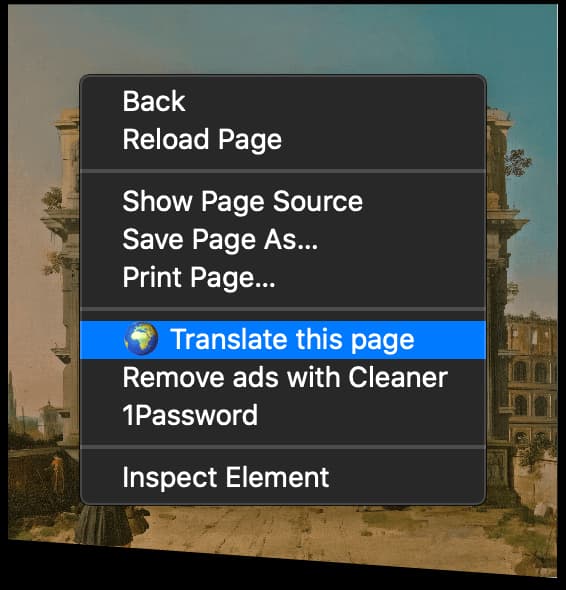Full page translation view in Mate Translate