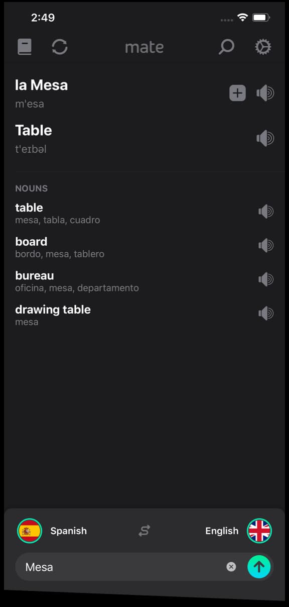 Mate Translate running on iPhone