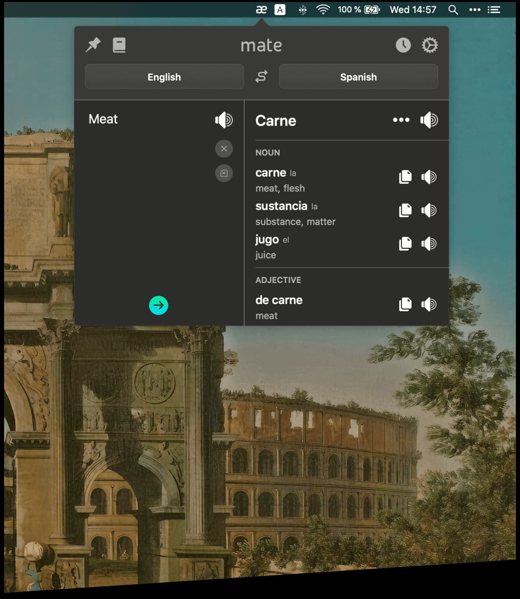 Mate Translate Mac app interface showing translation features